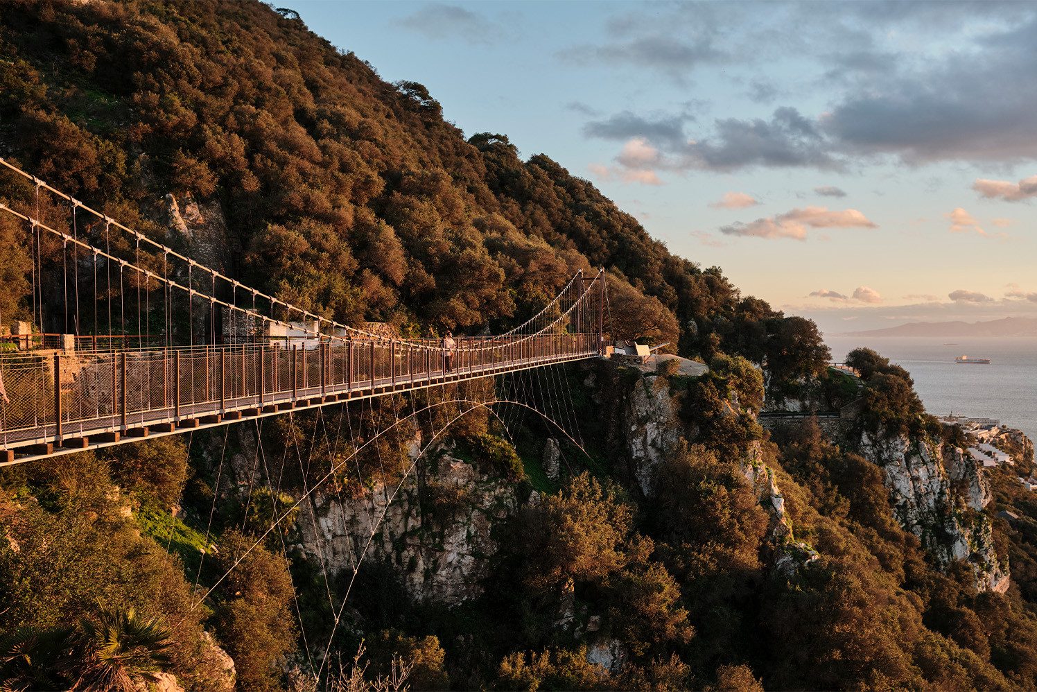 The Windsor Suspension Bridge spanning a gorge on the Upper Rock