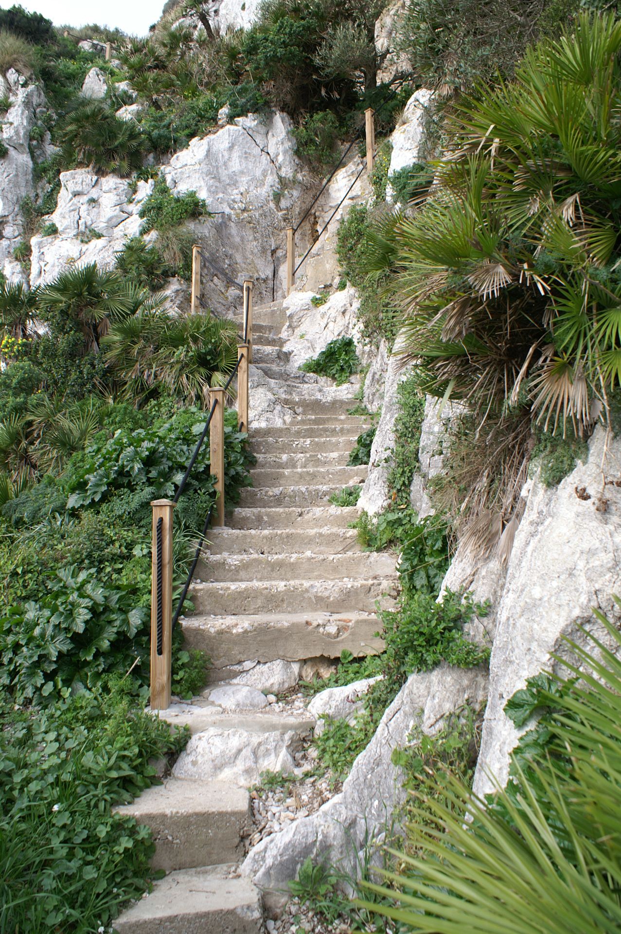 Mediterranean Steps
